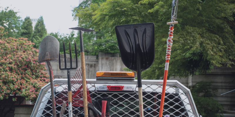 A set of shovels and gardening tools standing upright in a pickup truck bed.