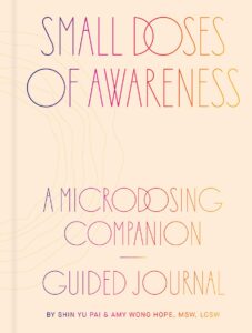 Small Doses of Awareness book cover