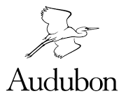 Audubon Washington logo