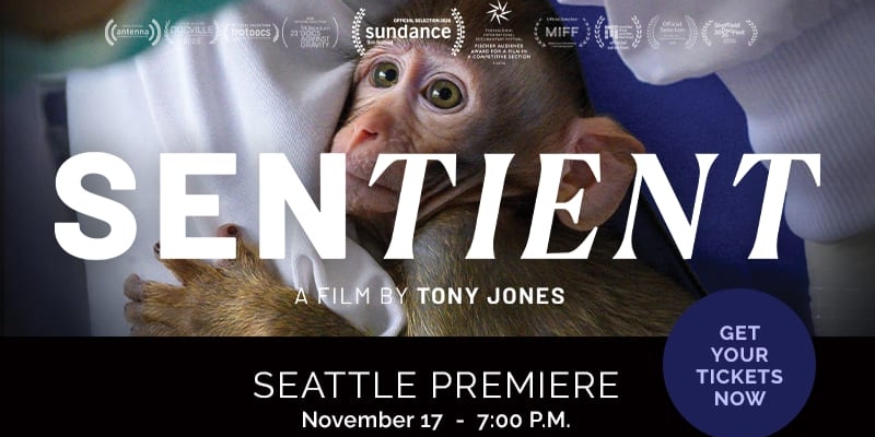 Sentient: A Film by Tony Jones - Seattle Premiere